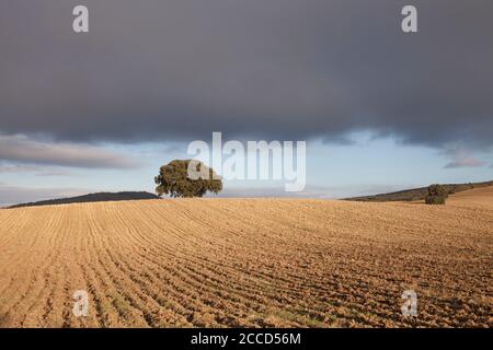 Paysage orageux dans la province de Grenade, Andalousie, Espagne Banque D'Images