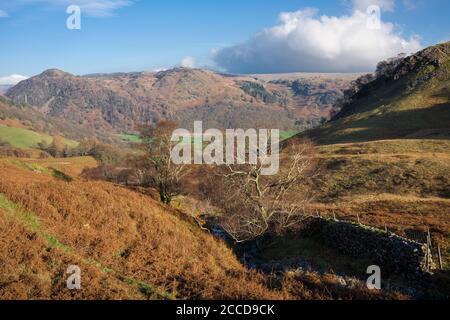 Vue sur Scaleclose Gill à côté de High Doat au-dessus de la vallée de Borrowdale et Grange est tombé au-delà dans le parc national de Lake District, Cumbria, Angleterre. Banque D'Images