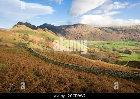 Une vue automnale de Castle Crag et de la vallée de Borrowdale avec Grange est tombée au-delà dans le parc national de Lake District, Cumbria, Angleterre. Banque D'Images