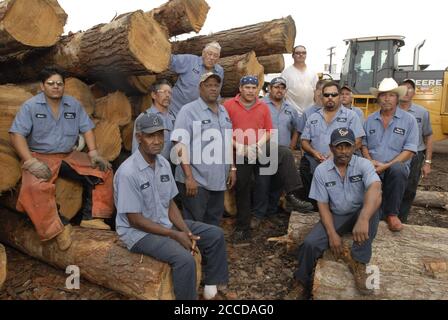 Orange, TX 10 novembre 2006 : travailleurs de la Rogers Lumber Company, dans le sud-est du Texas. L'entreprise transforme le bois de pin en planches à coupe grossière pour l'industrie de la construction commerciale. ©Bob Daemmrich Banque D'Images