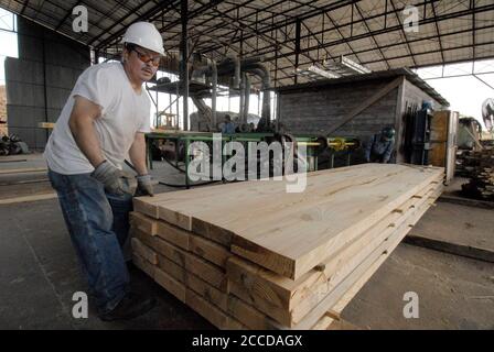 Orange, TX 10 novembre 2006 : un employé de Rogers Lumber Co. Porte un casque et des lunettes de sécurité sur le sol de l'usine. L'entreprise transforme le bois de pin en planches à coupe grossière pour l'industrie de la construction commerciale. ©Bob Daemmrich Banque D'Images