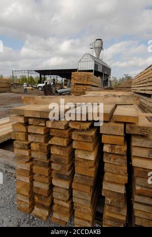 Orange, TX USA, 10 novembre 2006 : fini bois d'œuvre à Rogers Lumber Company. L'entreprise transforme le bois de pin en planches à coupe grossière pour l'industrie de la construction commerciale. ©Bob Daemmrich Banque D'Images