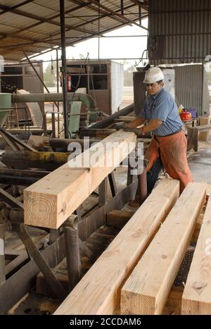 Orange, TX 10 novembre 2006 : un morceau de bois de pin 6'X6' coupé à Rogers Lumber Company. L'entreprise transforme le bois de pin en planches à coupe grossière pour l'industrie de la construction commerciale. ©Bob Daemmrich Banque D'Images