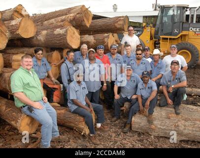 Orange, TX 10 novembre 2006 : le propriétaire de la société Jeff Rogers (chemise verte) et les travailleurs de la Rogers Lumber Company, dans le sud-est du Texas. Rogers Lumber Co transforme le bois de pin en planches à coupe grossière pour les industries de la construction et du camionnage. ©Bob Daemmrich Banque D'Images