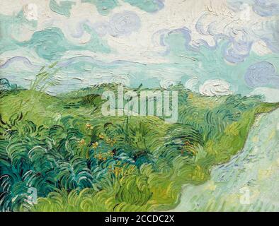 Champs de blé vert, Auvers, Vincent van Gogh, 1890, National Gallery of Art, Washington DC, USA, Amérique du Nord Banque D'Images