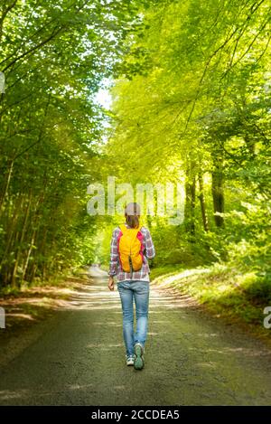 Femme de voyage avec sac à dos marchant sur la route à travers une forêt. Concept de vacances Banque D'Images