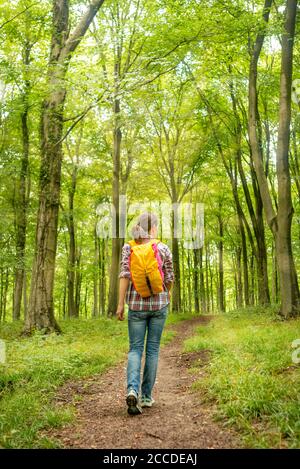 femme routard marchant dans les bois, vue arrière. Banque D'Images