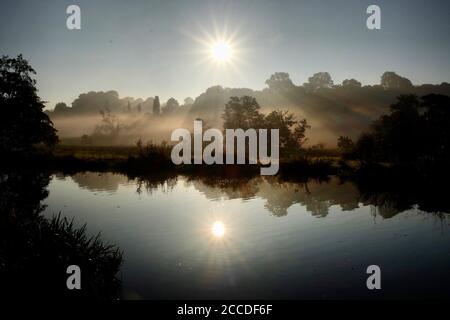 Tôt le matin, brume sur les prés de la rivière Wey à Godalming, Surrey, un matin d'automne froid. Banque D'Images