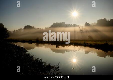 Tôt le matin, brume sur les prés de la rivière Wey à Godalming, Surrey, un matin d'automne froid. Banque D'Images