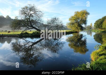 Tôt le matin, brume sur les prés de la rivière Wey à Godalming, Surrey, un matin d'automne froid. Banque D'Images