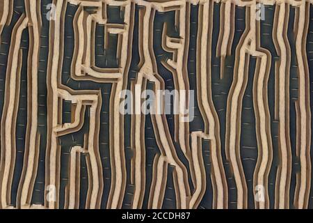 Design unique Résumé Digital Pixel bruit Glitch erreur vidéo dommage Banque D'Images