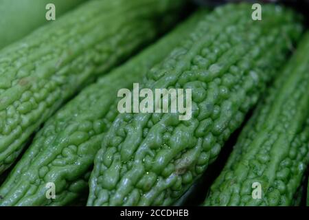 gros plan sur le gouard de melon amer vert frais avec de l'eau gouttes Banque D'Images