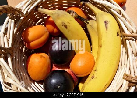 Gros plan panier de fruits en bois avec des bananes, des abricots et des prunes frais et sains à l'extérieur, en plein soleil depuis le dessus Banque D'Images