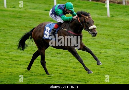 Brunch servi par le jockey Callum Rodriguez sur le chemin de la victoire de la course Sky Bet Mile Stakes lors du troisième jour du Yorkshire Ebor Festival à l'hippodrome de York. Banque D'Images