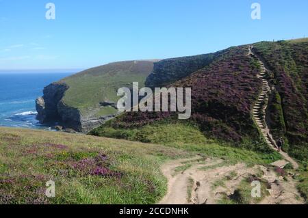 Le South West Coast Path serpente en amont à travers la bruyère près de Portreath sur la côte nord de Cornwall Banque D'Images