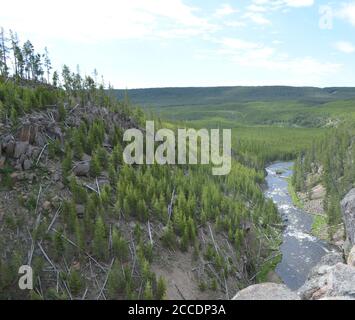 Fin du printemps dans le parc national de Yellowstone : vue en amont des chutes Gibbon sur la rivière Gibbon le long de la route Grand Loop Banque D'Images