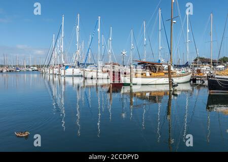 Yachts et bateaux amarrés à Birdham Pool Marina près de Chichester, West Sussex, Royaume-Uni Banque D'Images