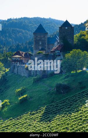 Deutschlandsberg, château de Deutschlandsberg, vignoble en Autriche, Styrie du Sud Banque D'Images