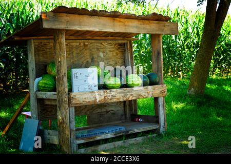 Stand de bord de route vendant des produits frais locaux. Ontario Canada. Banque D'Images