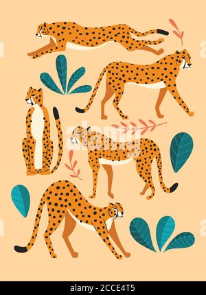 Collection de jolis cheetahs dessinés à la main sur fond rose, debout, étirant, courant et marchant avec des plantes exotiques. Illustration vectorielle plate Illustration de Vecteur