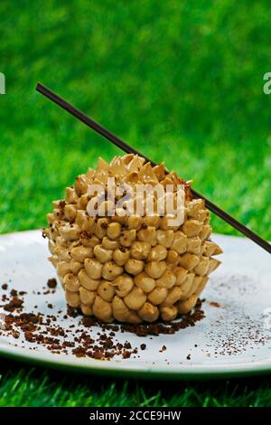 cascade tiramisu, dessert traditionnel italien dans une herbe verte Banque D'Images