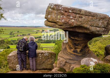 Brimham Rocks à NIdfoot, dans le Yorkshire, en Angleterre Banque D'Images