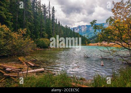 Le lac d'olive dans un ciel nuageux jour d'automne. Parc national Kootenay. Colombie-Britannique. Canada Banque D'Images