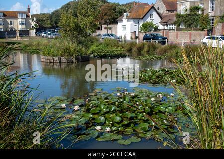 Un étang de village otingdean dans un cadre pittoresque avec des cottages anglais traditionnels en arrière-plan. Banque D'Images