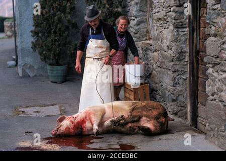 Italie, Trentin-Tyrol du Sud, Haut-Adige, Vinschgau, de la vie ancienne, agriculteurs de montagne du Tyrol du Sud, Vinschgau, Tschars, abattoir de porc sur la ferme, Ho Banque D'Images