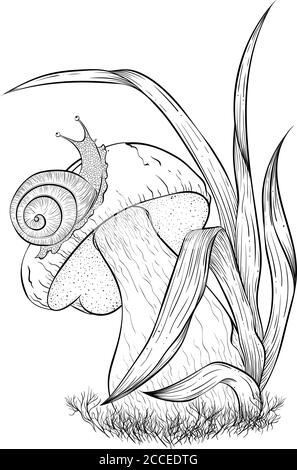 Escargot de jardin rampant sur des champignons. Illustration vectorielle isolée sur fond blanc. Superbe illustration d'automne dans un style d'esquisse pour livre de coloriage Illustration de Vecteur