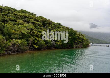 Une journée de brouillard dans les Marlborough Sounds, South Island, Nouvelle-Zélande Banque D'Images