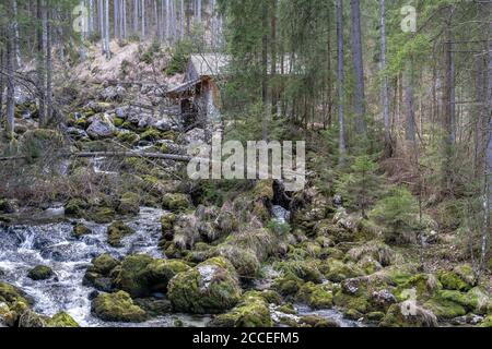 Europe, Autriche, Salzbourg, Tennengau, Golling an der Salzach, Mühle am Bach sur le chemin de la cascade de Gollinger Banque D'Images