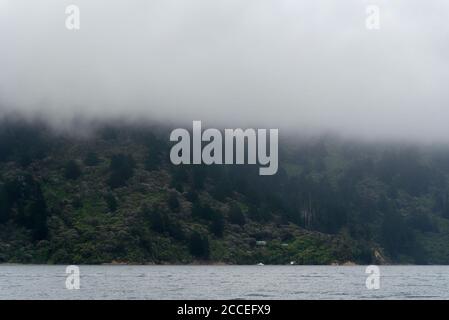 Une journée de brouillard dans les Marlborough Sounds, South Island, Nouvelle-Zélande Banque D'Images