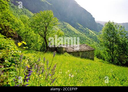 Chalet alpin à Cormet de Roselend Banque D'Images