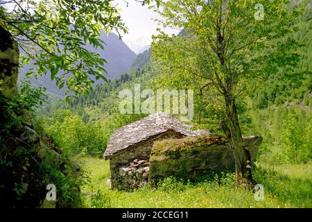 Chalet alpin à Cormet de Roselend Banque D'Images