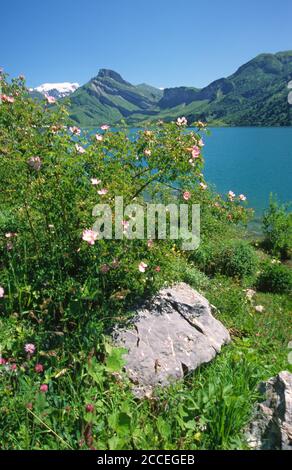 Roselend Beaufortain Lac de barrage de Savoie au printemps Banque D'Images