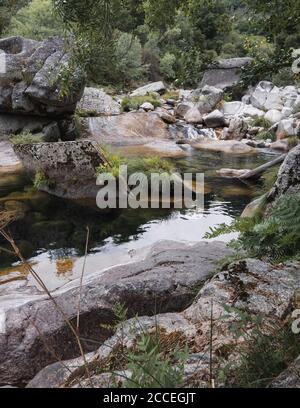 Plan vertical d'un étang vert et d'une cascade, entouré de pierres et de végétation, dans la forêt du parc national de Geres Banque D'Images