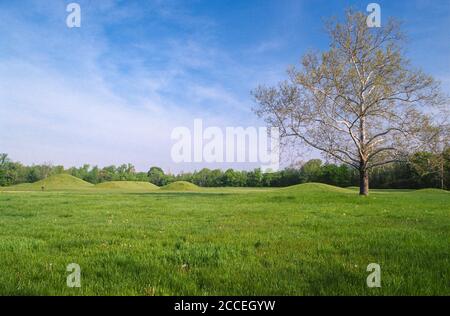 Hentering Mounds, Parc historique national de la culture Hopewell, Chillicothe, Ohio, États-Unis Banque D'Images