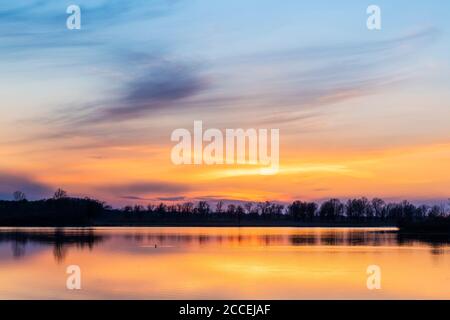 Huard commun (Gavia immer) sur le lac au coucher du soleil, lac, E Amérique du Nord, par Dominique Braud/Dembinsky photo Assoc Banque D'Images