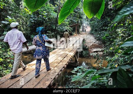 Station biologique avec scientifique dans le parc national de Dzanga Sangha. République centrafricaine Banque D'Images