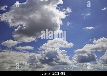 Nuages bulbeux blancs et gris foncé dans le ciel indigo. Boursouflé et affichant des nuages blancs et gris dans le ciel. Contexte de la prévision et de la météorologie Banque D'Images