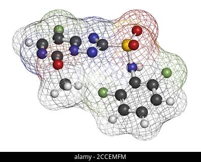 Molécule d'herbicide de florasulam. Rendu 3D. Les atomes sont représentés sous forme de sphères avec un codage couleur conventionnel : hydrogène (blanc), carbone (gris), nitroge Banque D'Images