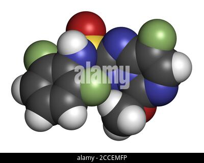 Molécule d'herbicide de florasulam. Rendu 3D. Les atomes sont représentés sous forme de sphères avec un codage couleur conventionnel : hydrogène (blanc), carbone (gris), nitroge Banque D'Images