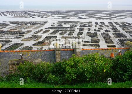 CANCALE, FRANCE -28 DEC 2019- Vue d'huîtres dans l'océan Atlantique à Cancale, dans la Baie du Mont Saint Michel, dans les Côtes d'Armor, Bretagne, Banque D'Images