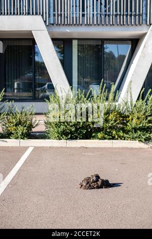 Une pile de pommes se trouve dans un parking ouvert devant un grand bâtiment Banque D'Images