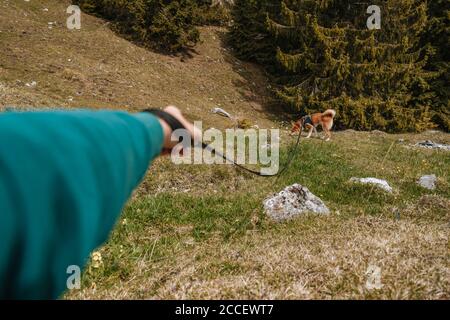 Europe, Allemagne, Bavière, Alpes bavaroises, Sudelfeld, Tatzelwurm, Brannenburg, Bayrischzell, chien sur laisse, Banque D'Images