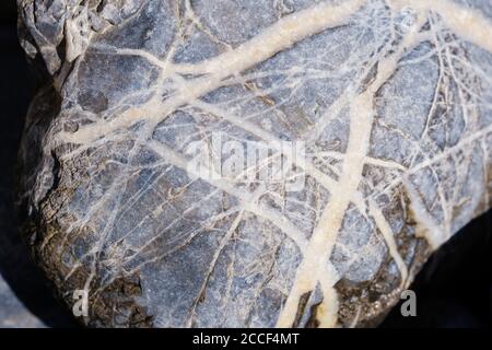 Chaux alpine gris foncé avec fissures de calcaire blanc, cailloux sur une banque de gravier à Isarauen, près de Geretsried, haute-Bavière, Bavière, Allemagne Banque D'Images