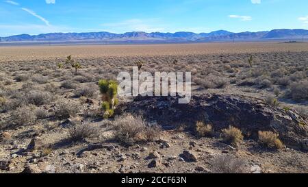 Paysage du désert du Nevada sur le chemin de la zone 51, États-Unis Banque D'Images