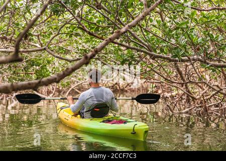 Kayak dans les tunnels de mangrove d'Islamorada dans les Keys, Floride, États-Unis Banque D'Images