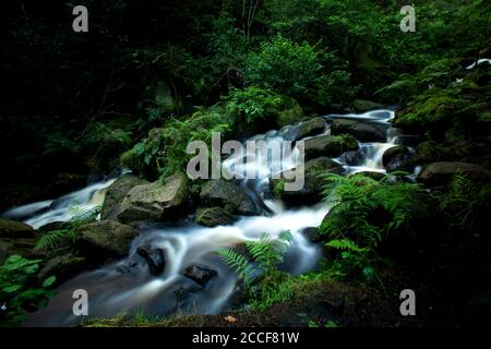 Des eaux cristallines traversent la réserve naturelle de Wyming Brook Banque D'Images